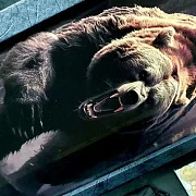 Нарды под стеклом «Хозяин тайги» — оригинальный подарок — фотография 4