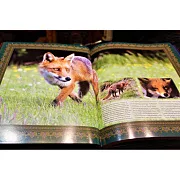 Охота — книга в коже — красивый подарок — фотография 4